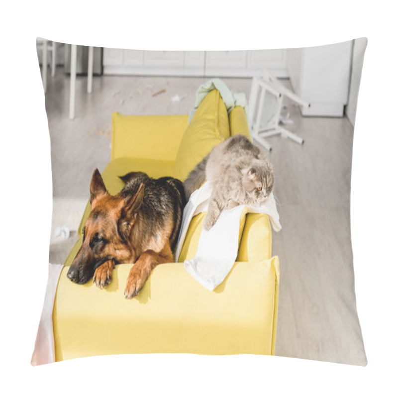 Personality  Cute German Shepherd And Grey Cat Lying On Bright Yellow Sofa In Messy Apartment  Pillow Covers