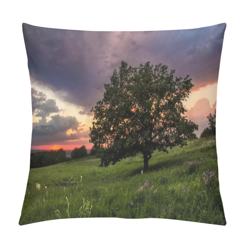 Personality  Big Tree On Meadow At Sunset Pillow Covers