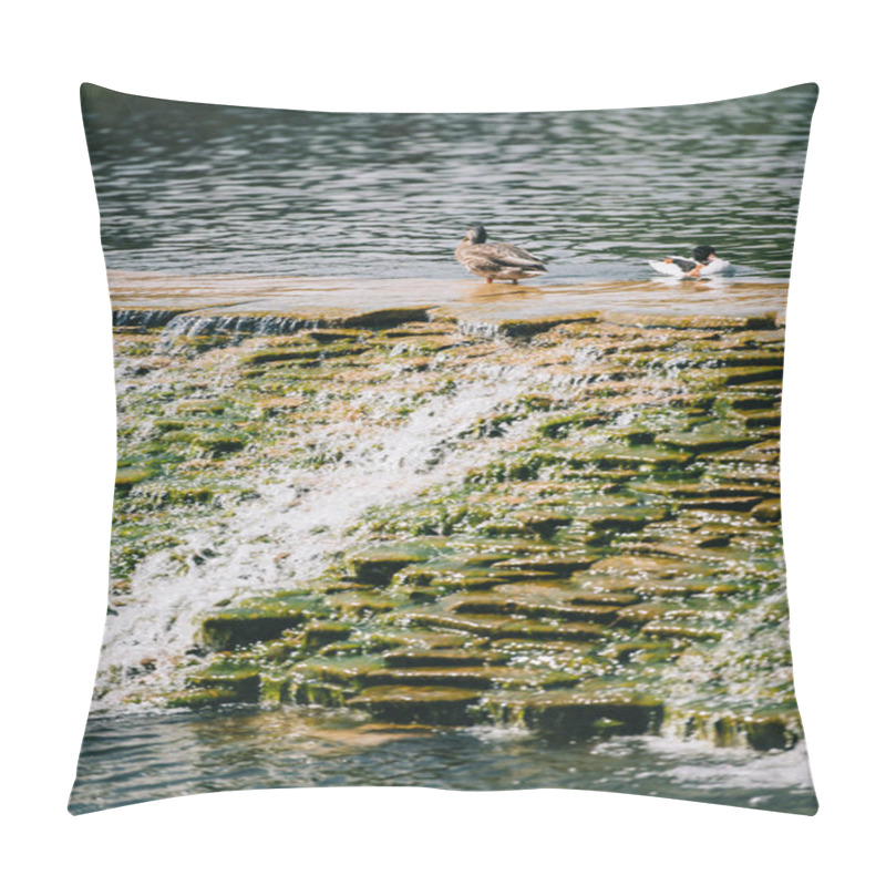 Personality  Two Beautiful Ducks Sitting On Dam In River At Park Pillow Covers