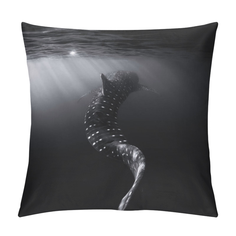 Personality  Whale Shark In Ocean. Giant Fish Swimming In Open Tropical Sea. Pillow Covers