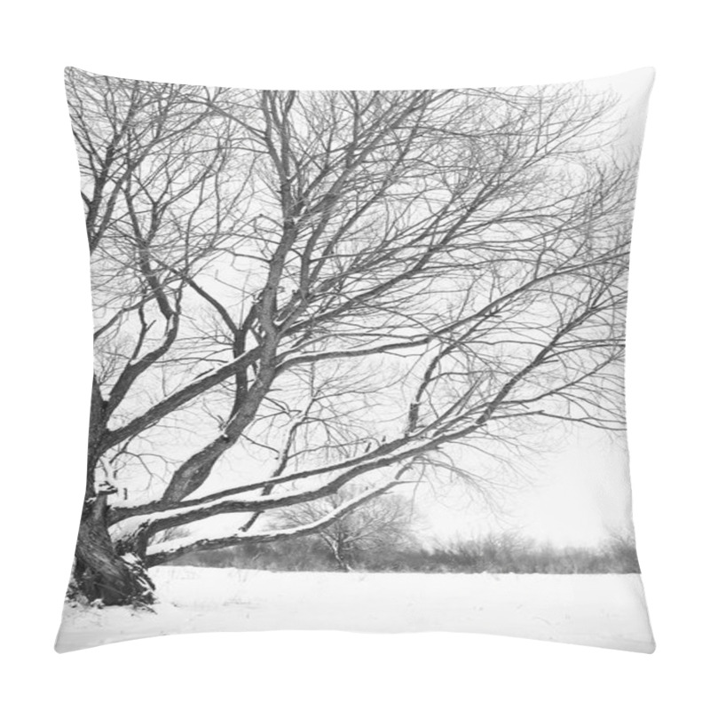 Personality  Tree In Winter Season. Pillow Covers