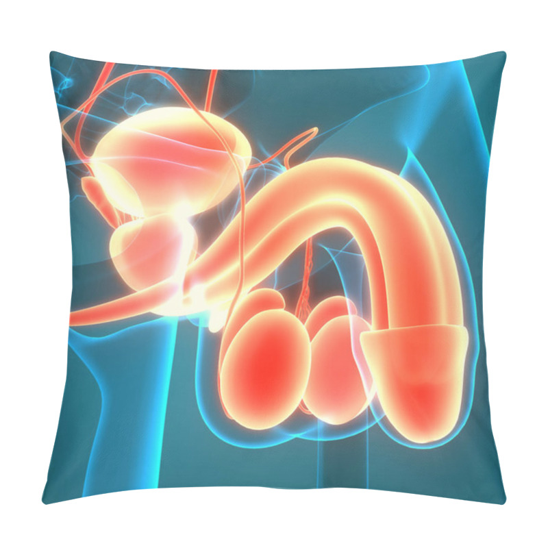 Personality  Male Reproductive System Anatomy. 3D Pillow Covers