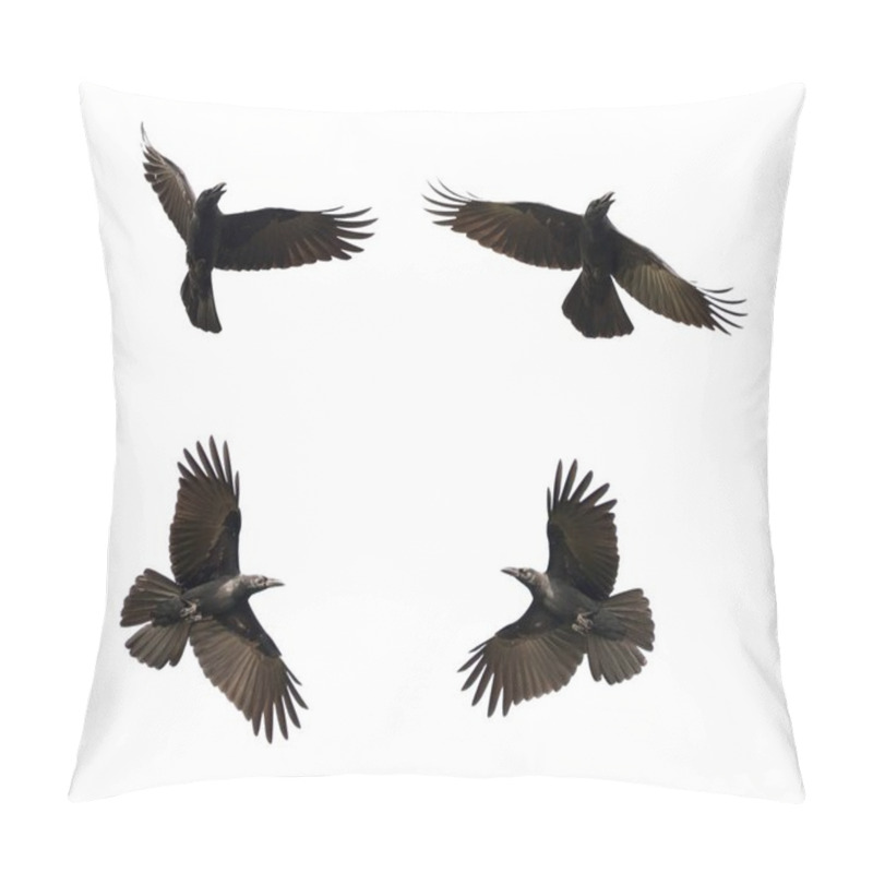 Personality  Group Of Black Crow Flying On White Background. Animal. Black Bi Pillow Covers