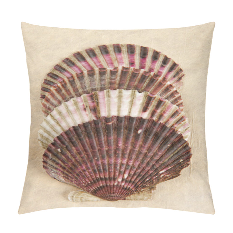 Personality  Four Stacked Scallop Shells. Pillow Covers