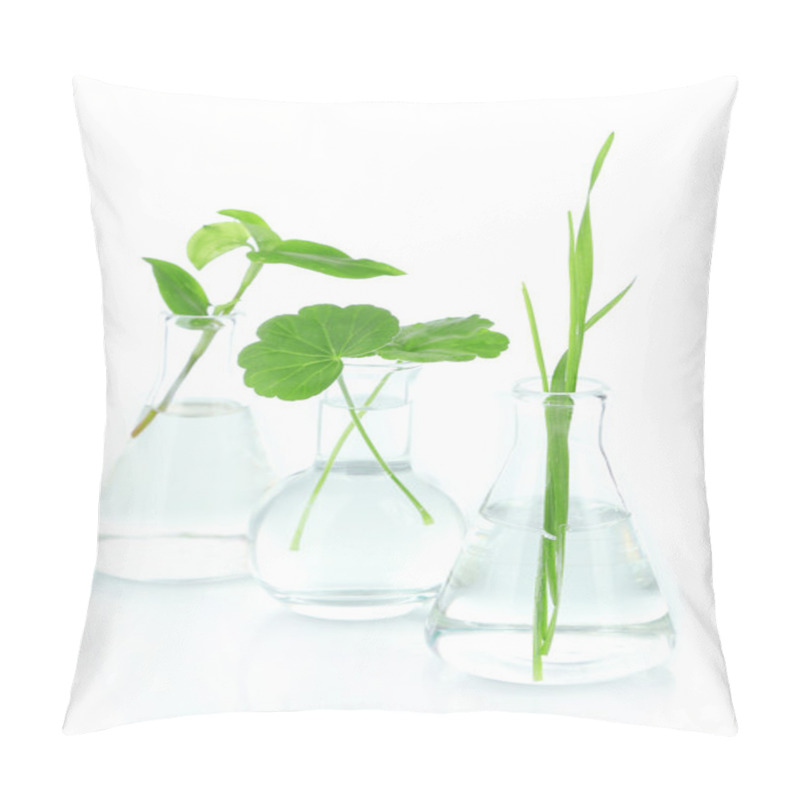 Personality  Plants In Test Tubes, Isolated On White Pillow Covers