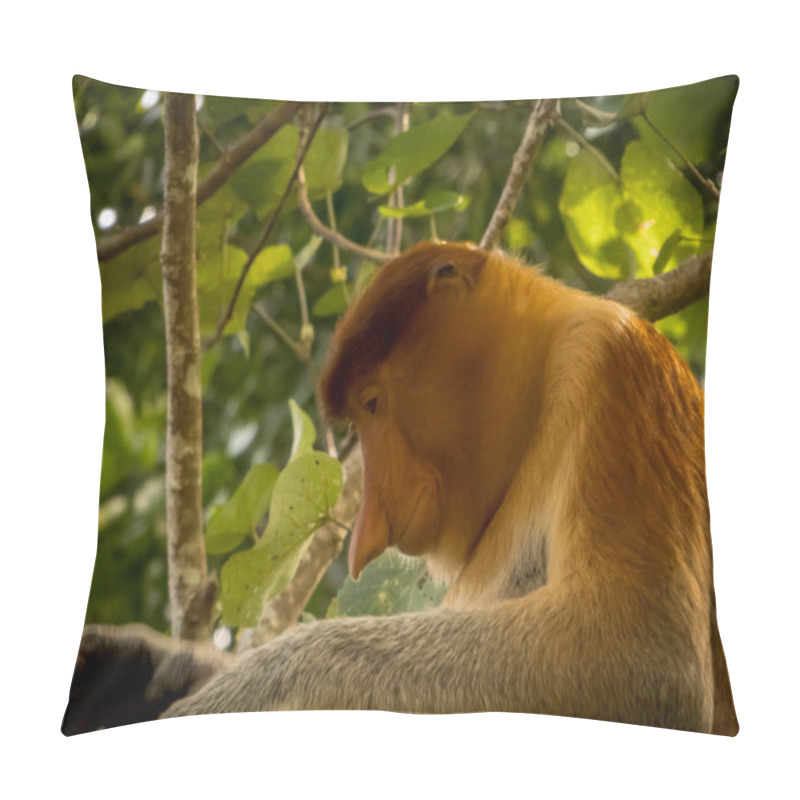 Personality  A Close Up Of The Rare And Beautiful Single Proboscis Monkey With Its Unique Long Nose  Sitting In A Tree At Bako National Park, Borneo Pillow Covers