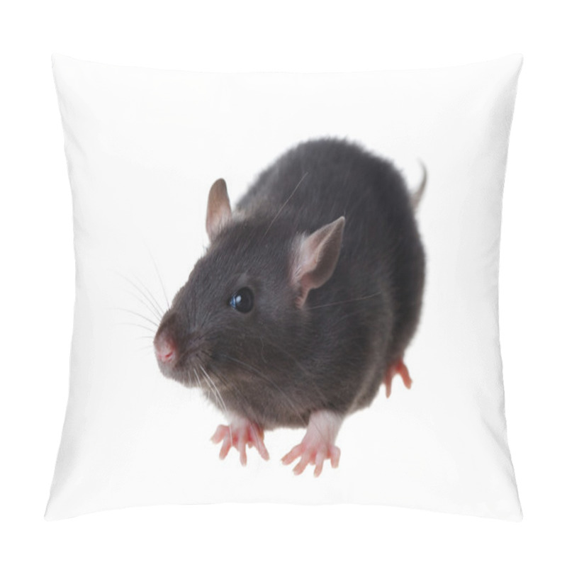 Personality  Young Rat Pillow Covers