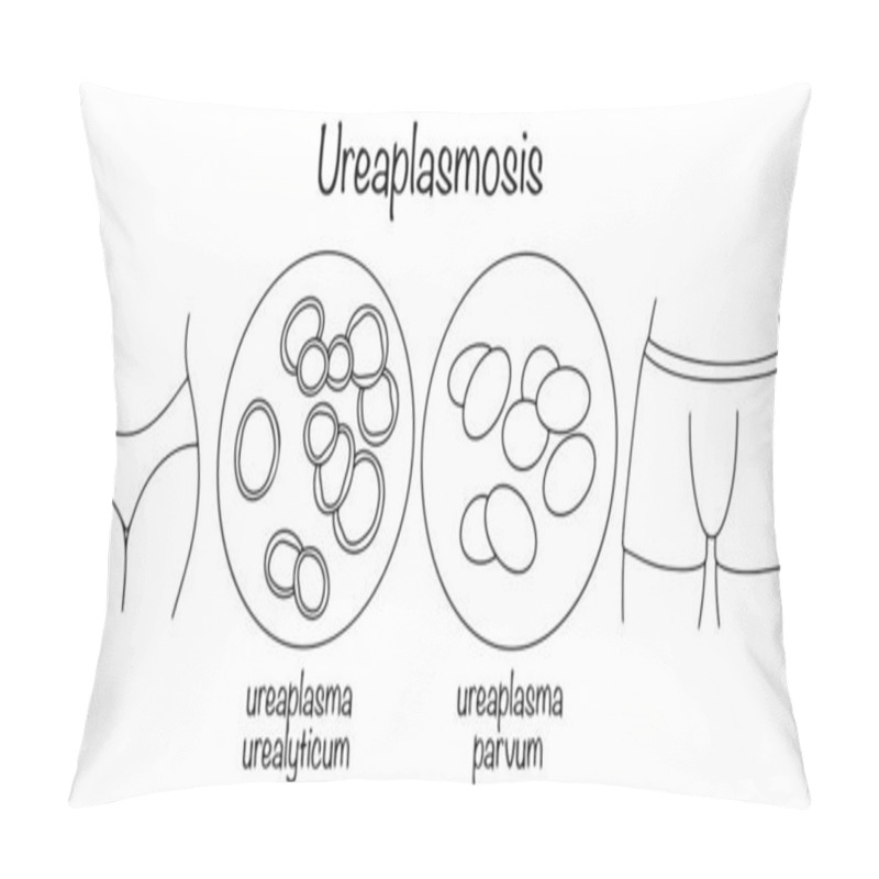 Personality  A Disease Of The Genitourinary System Caused By Opportunistic Microflora. Hand-drawn Variants Of The Causative Agent Of Ureplasmosis. Isolated Vector On White Background. Ureaplasmosis. Pillow Covers