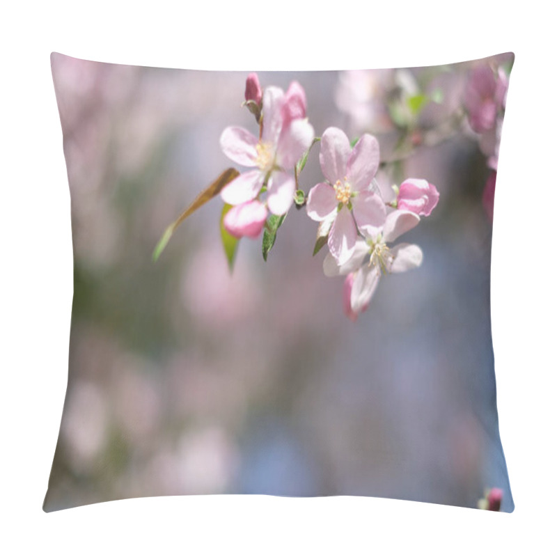 Personality  Spring Blossoming Tree With Pink Flowers, Close Up Pillow Covers