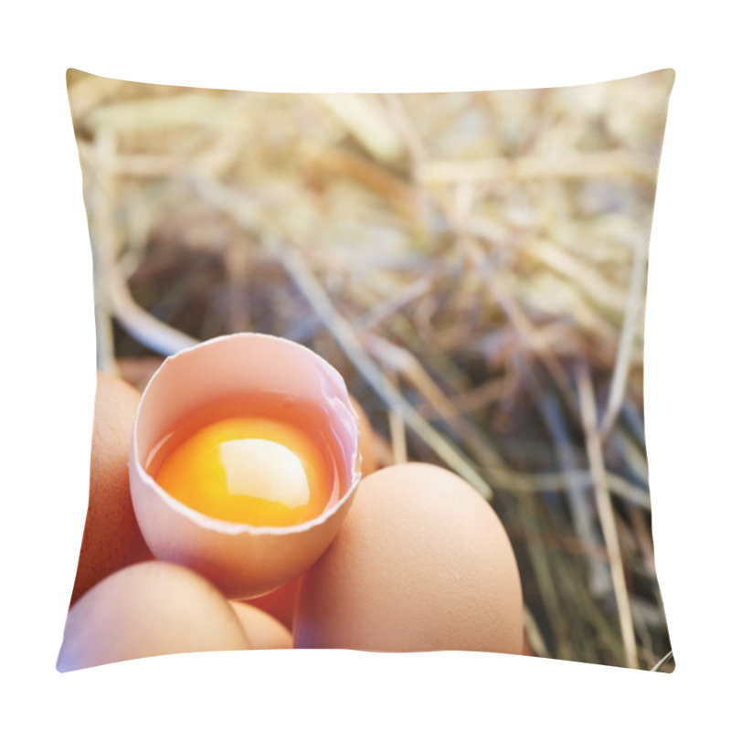 Personality  Chicken Eggs In The Straw With Half A Broken Egg In The Morning Light. Pillow Covers