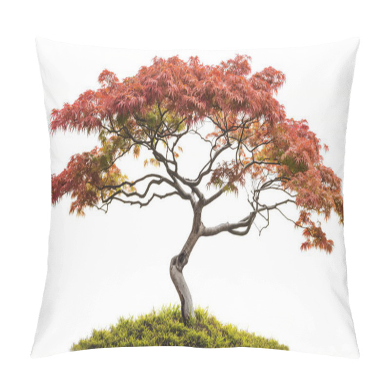 Personality  Japanese Maple Tree With Red Leaves On A Small Grassy Mound, Isolated On A White Background. Pillow Covers