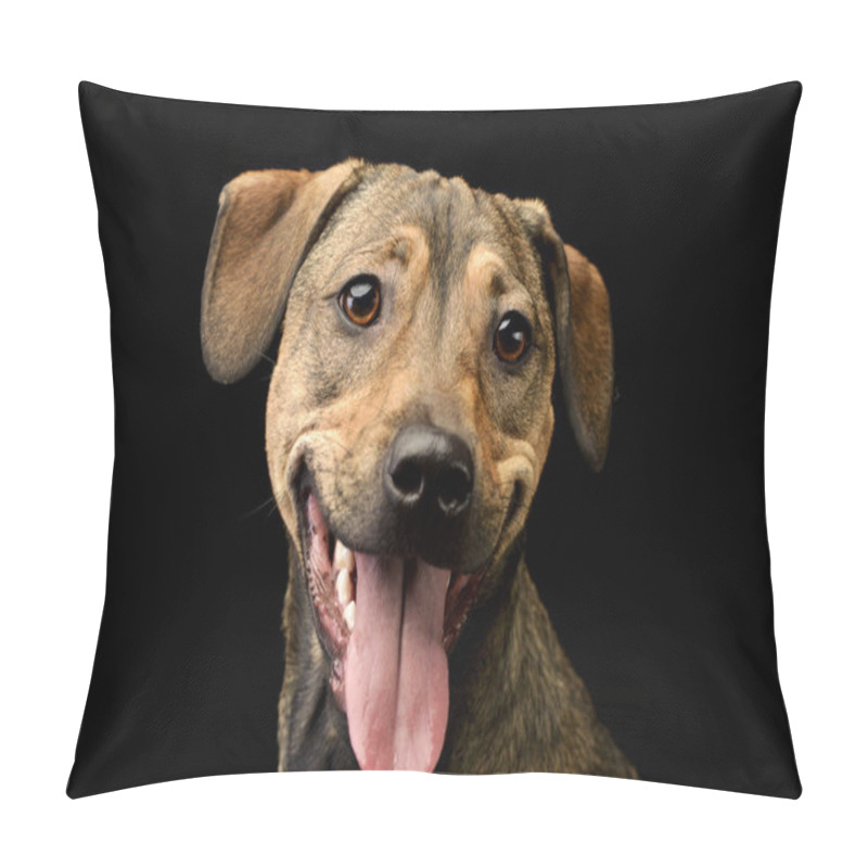 Personality  Portrait Of An Adorable Mixed Breed Dog, Studio Shot, Isolated On Black. Pillow Covers