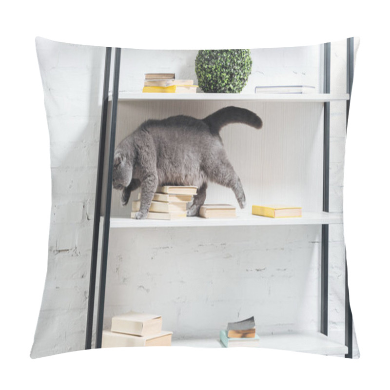 Personality  Cute Scottish Fold Cat Standing On Shelving Unit On White Pillow Covers