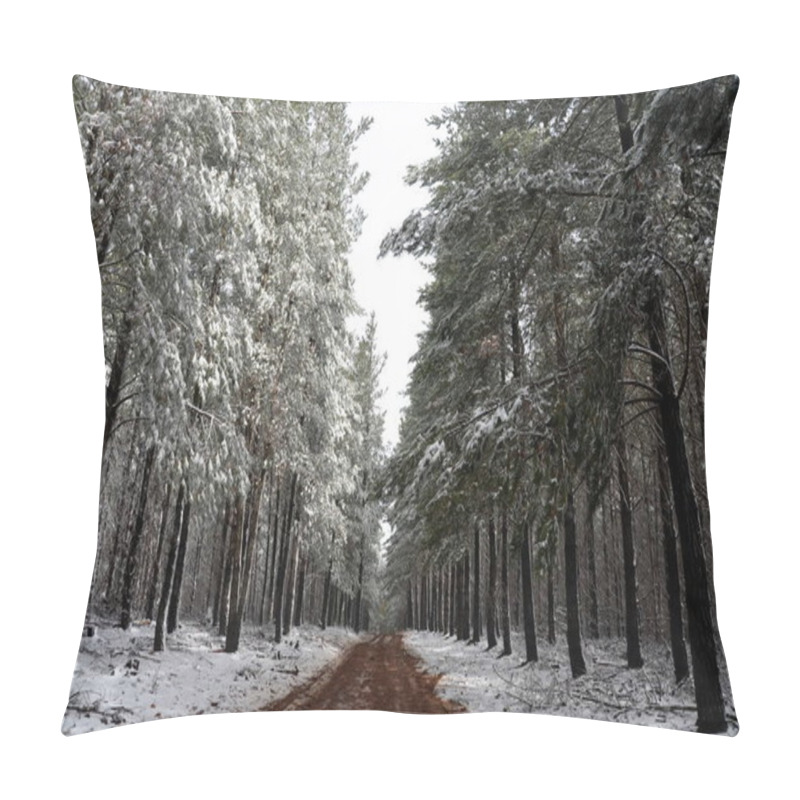 Personality  Winter Forest In Australia. Snow On The Trees, On The Branches And On The Road. Pillow Covers