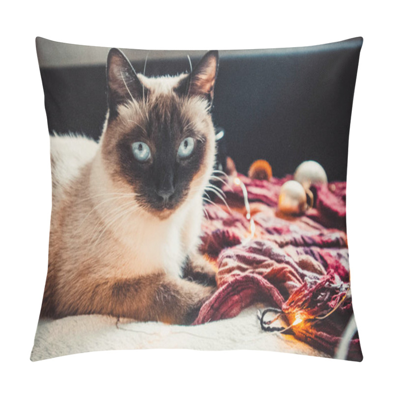 Personality  Siamese Cat On The Background Of A Warm And Soft Plaid With Christmas Decorations Pillow Covers