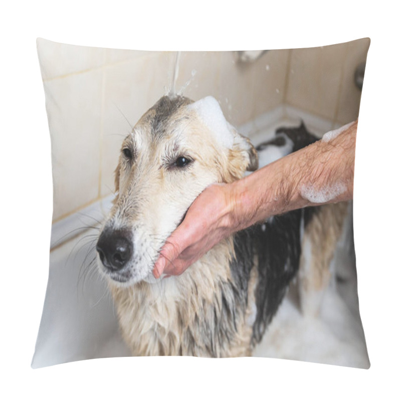 Personality  Faceless Person Washing The Dog Taking A Shower With Soap And Water Pillow Covers