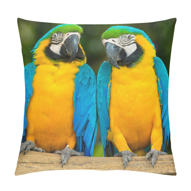 Personality  Parrot Birds Sitting On The Perch Pillow Covers