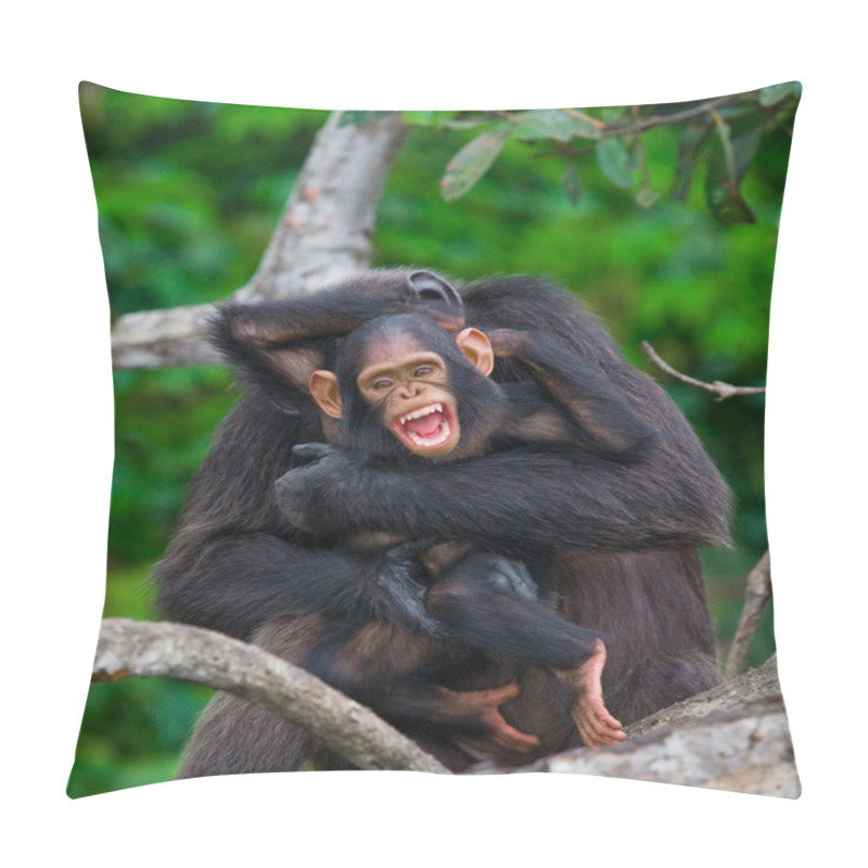 Personality  Funny Chimpanzee, Republic Of The Congo Pillow Covers