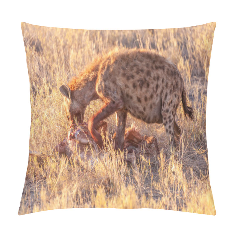 Personality  Spotted Hyena With Prey Pillow Covers