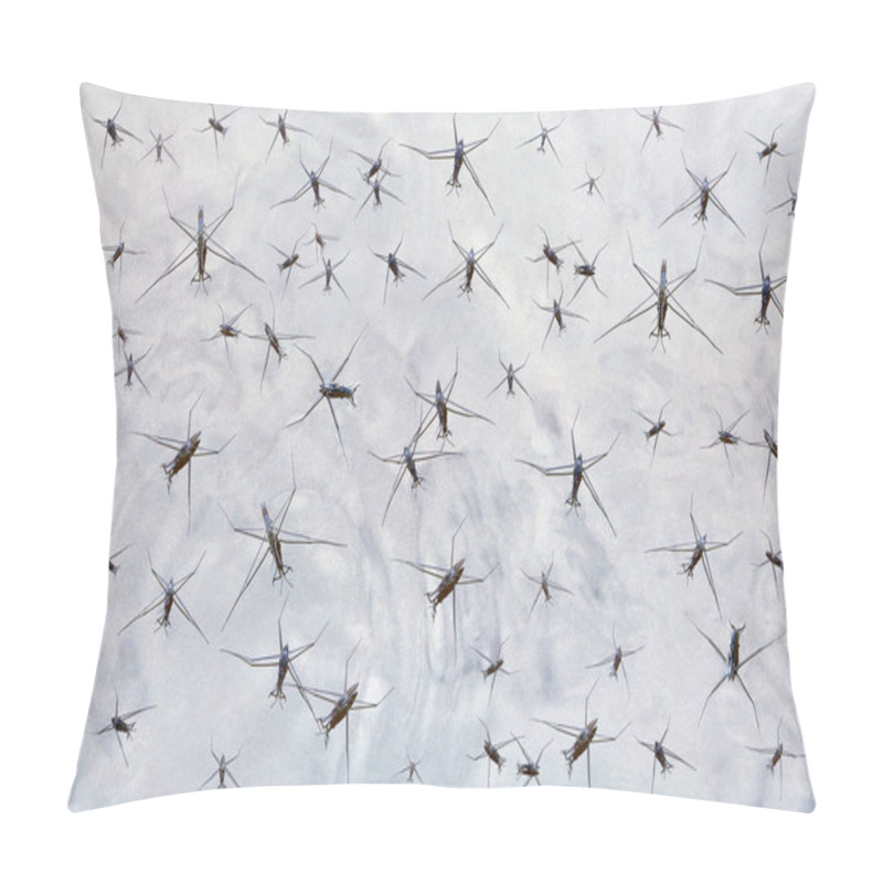 Personality  Water Insects Floating In Swamp Water, Or Nanodevices Slide On The Surface Of The Liquid Metal. Pillow Covers