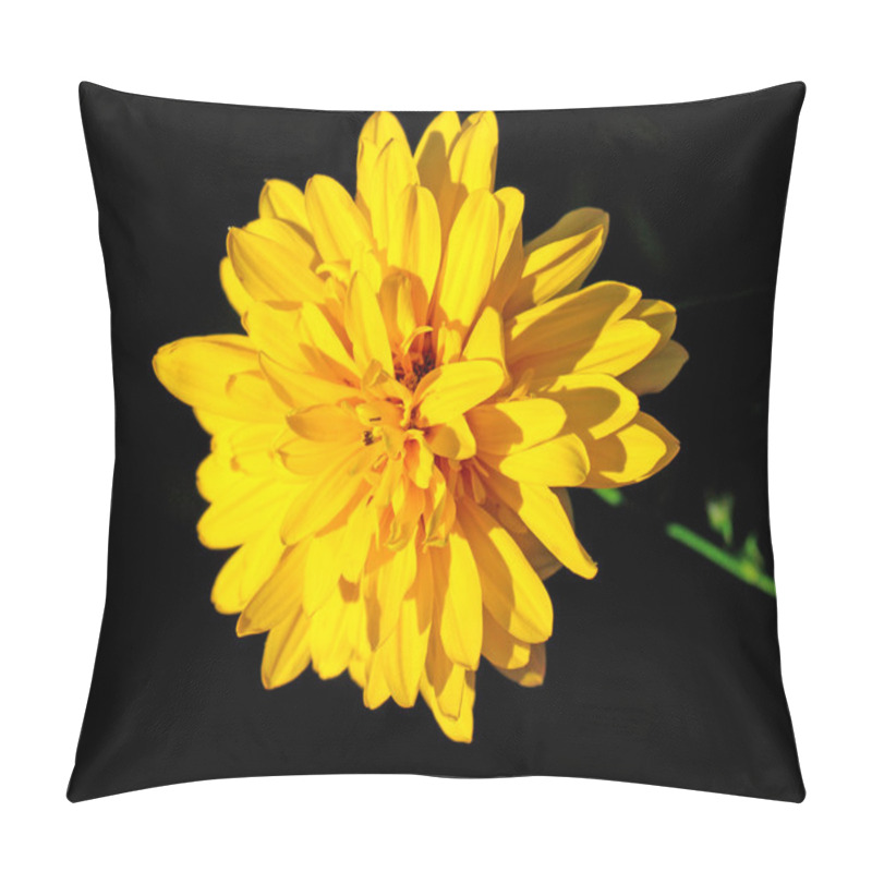 Personality  Large Flower Pillow Covers