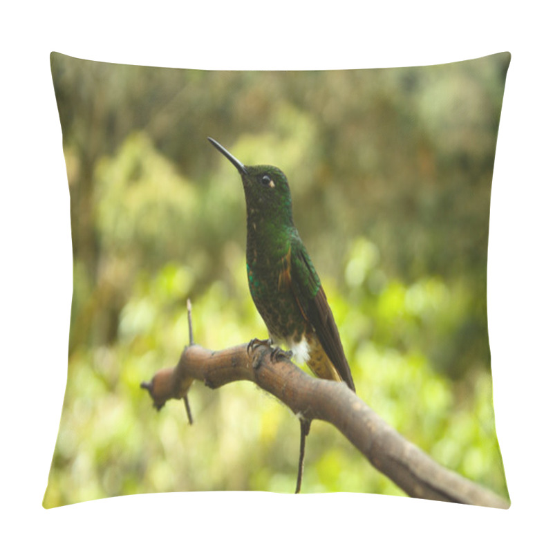 Personality  Hummingbird Pillow Covers