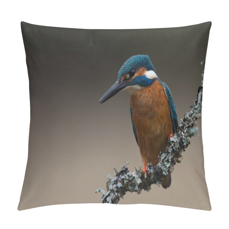 Personality  Kingfisher (Alcedo Atthis) Pillow Covers