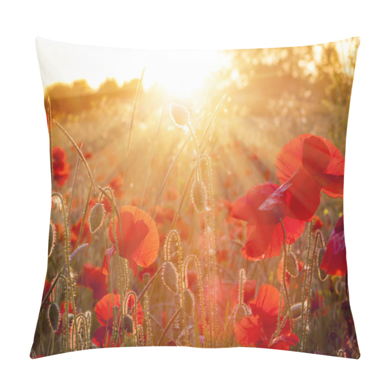 Personality  Field Of Sunlit Red Poppies At Sunset Pillow Covers