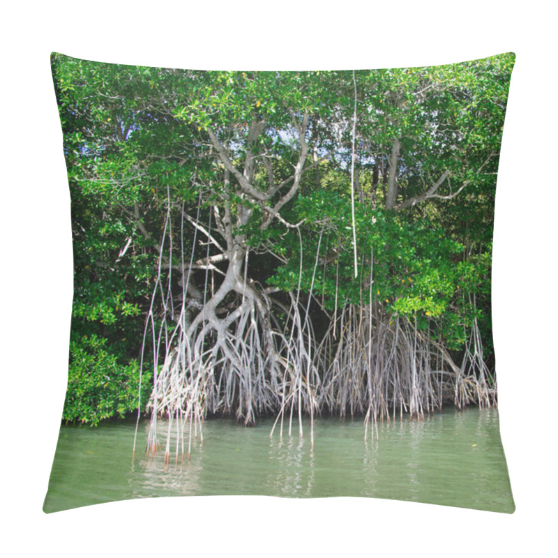 Personality  Mangrove Trees In Caribbean Sea Pillow Covers