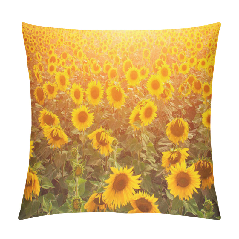 Personality  Field Of Sunflowers At Sunset Pillow Covers