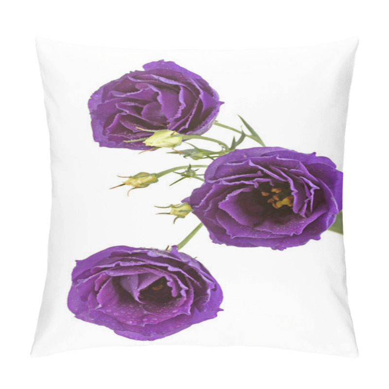 Personality  Purple Eustoma On White Background Pillow Covers