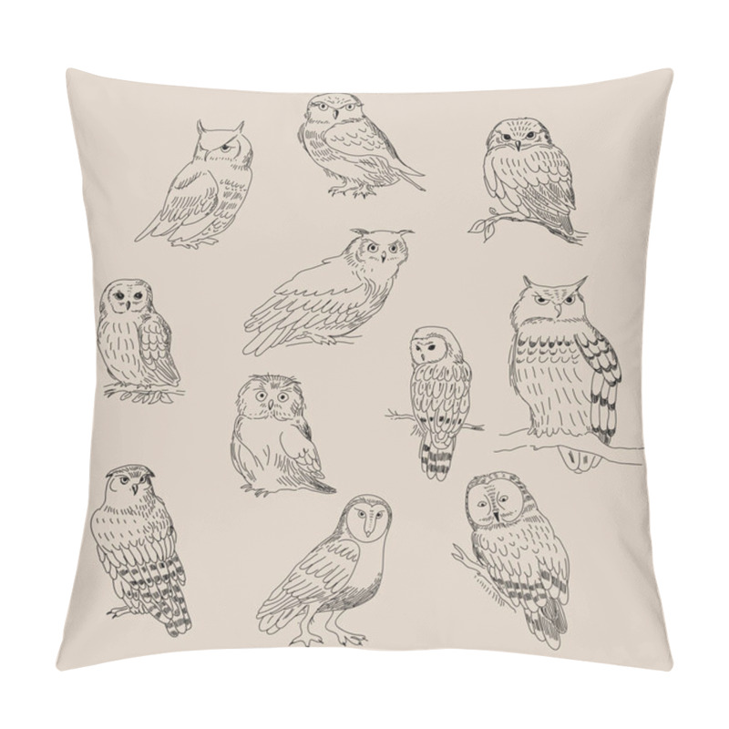 Personality  A Set Of Cute Different Species Of Owls Pillow Covers