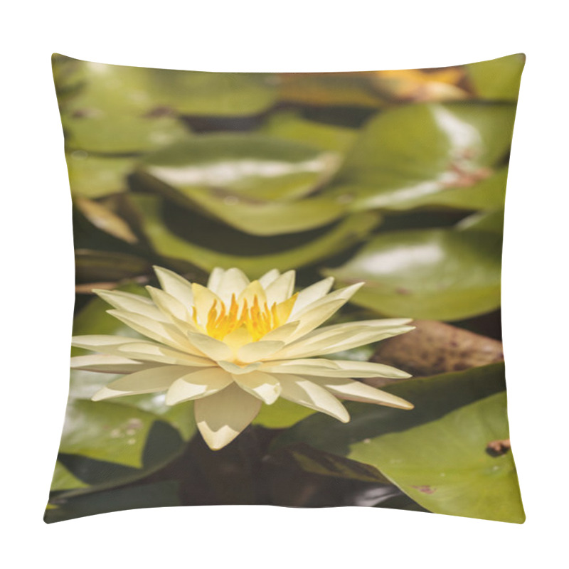 Personality  Water Lily Flower  Pillow Covers