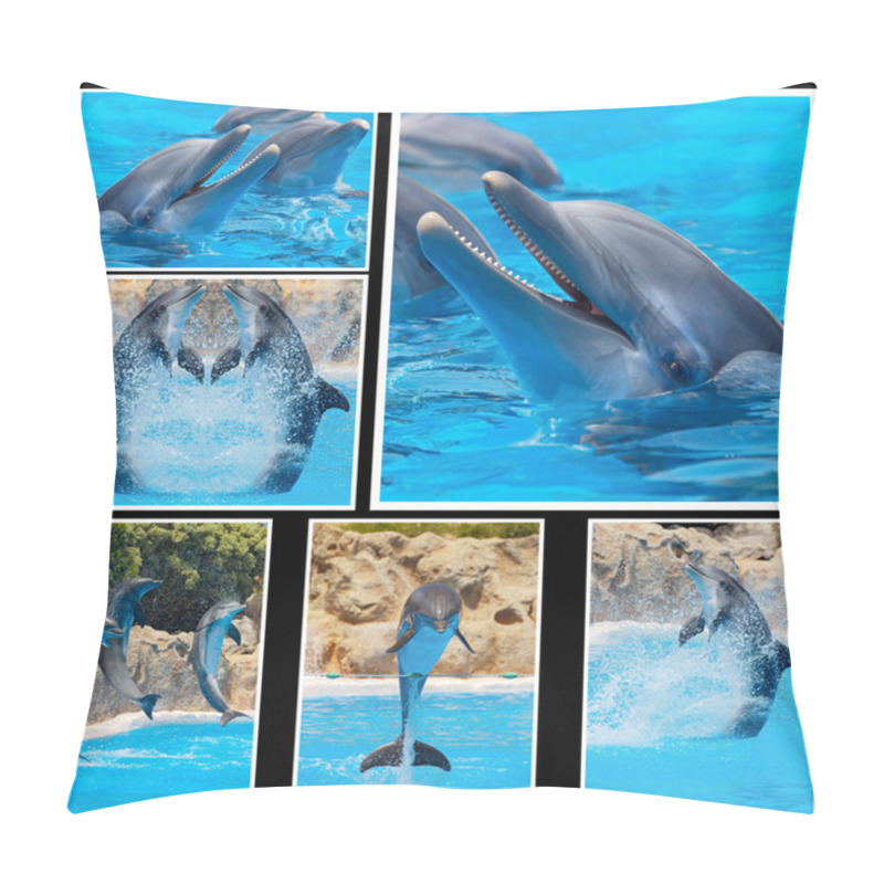 Personality  Collage Of Photos Of Dolphins In A Show Pillow Covers