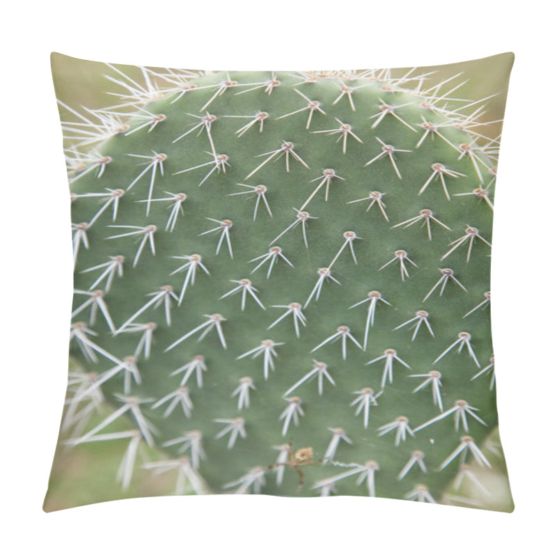 Personality  Cactus Pillow Covers