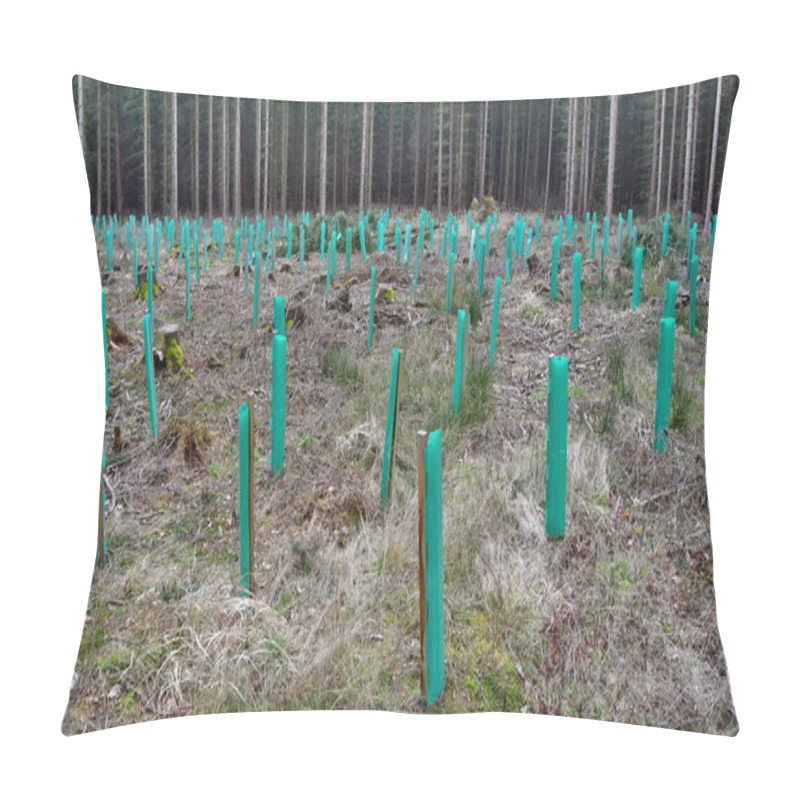 Personality  The Enclosure Protects New Trees, Reforestation, South Bohemia, Czech Republic Pillow Covers