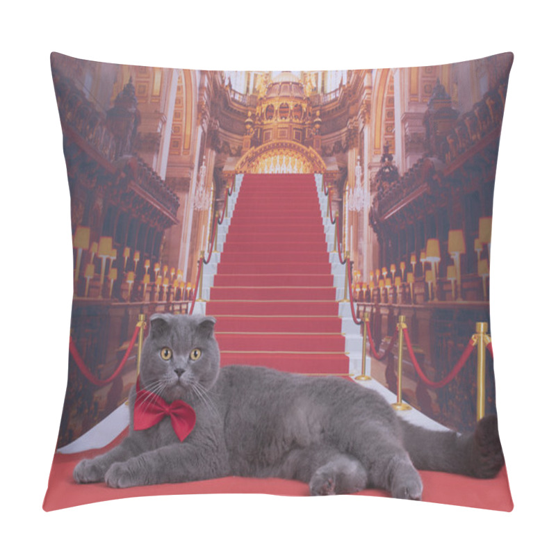 Personality  Important Scottish Fold Cat On The Red Carpet Pillow Covers