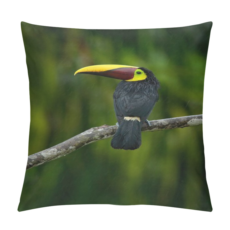 Personality  Toucan Sitting On Branch  Pillow Covers