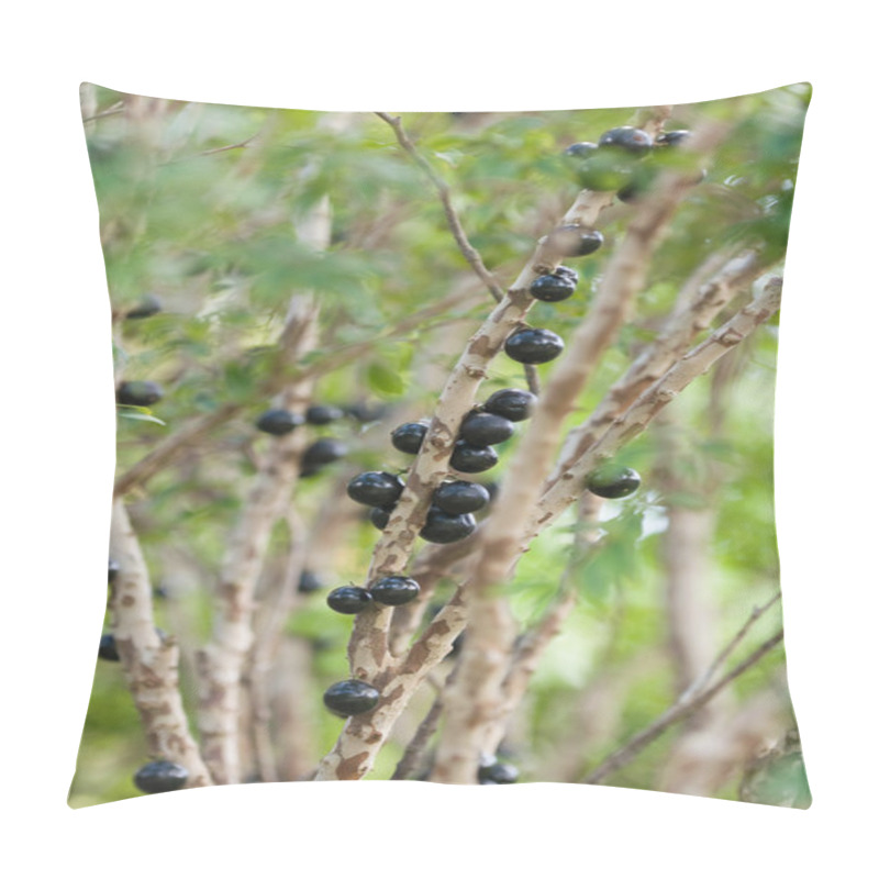 Personality  Brazilian Grape Tree Pillow Covers