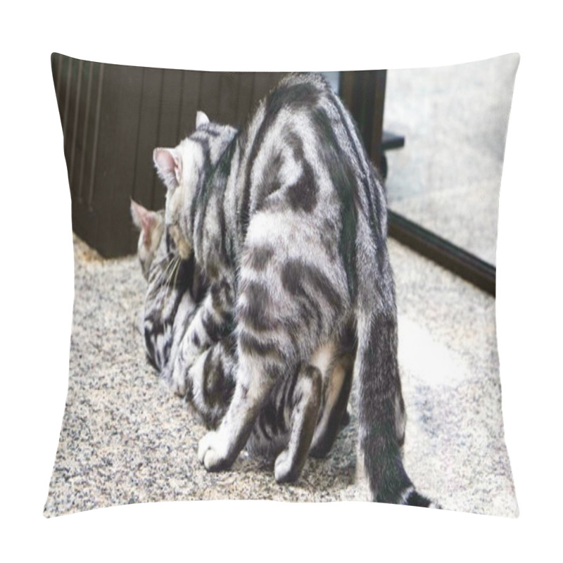 Personality  Cats Breeding On The Floor Pillow Covers