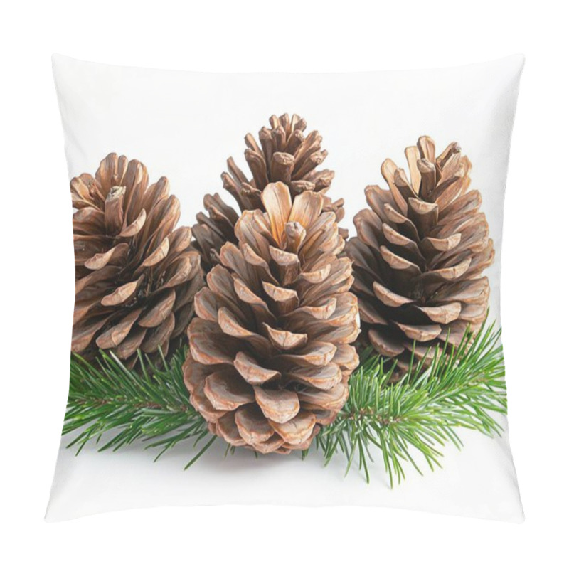 Personality  Natural Pine Cones Arranged With Fresh Greenery On A Bright Background. Pillow Covers