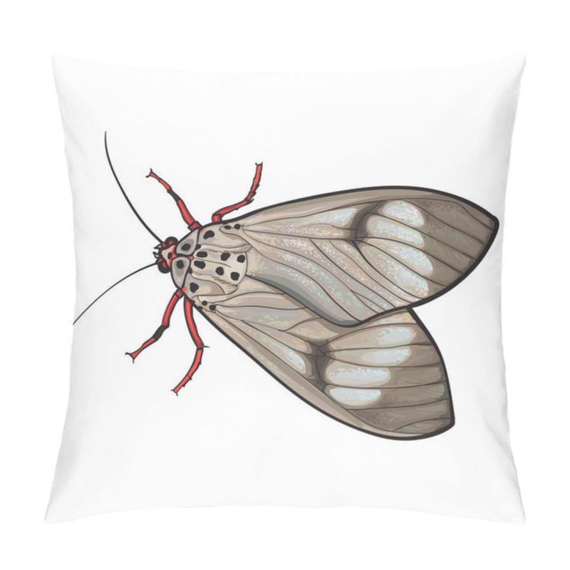 Personality  Top View Of Gray Moth, Isolated Sketch Style Illustration Pillow Covers