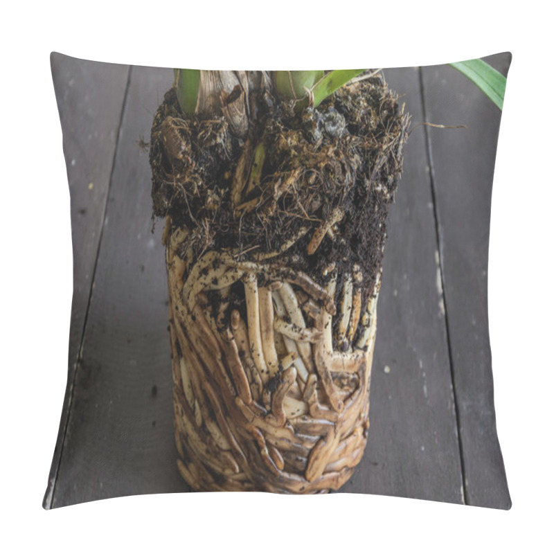 Personality  Interlaced Home Orchid Flower Roots Pillow Covers