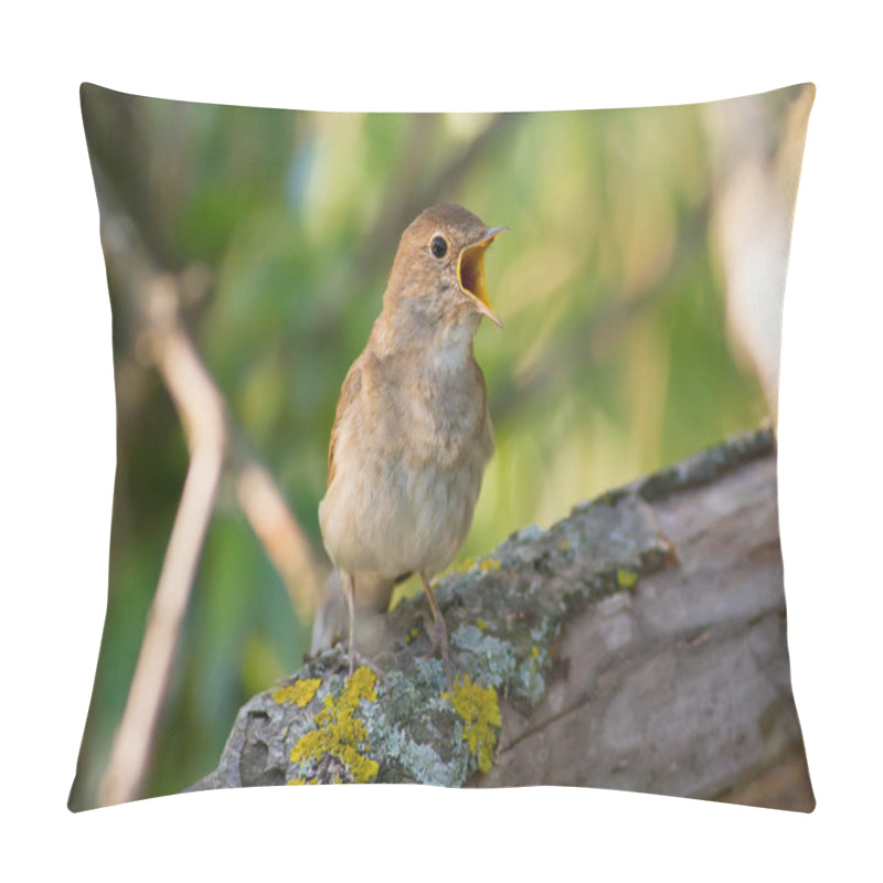 Personality  Thrush Nightingale, Luscinia Luscinia. A Bird Sits On A Tree Branch And Sings Pillow Covers