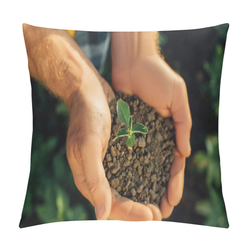 Personality  Top View Of Farmer Holding Soil With Young Plant In Cupped Hands Pillow Covers