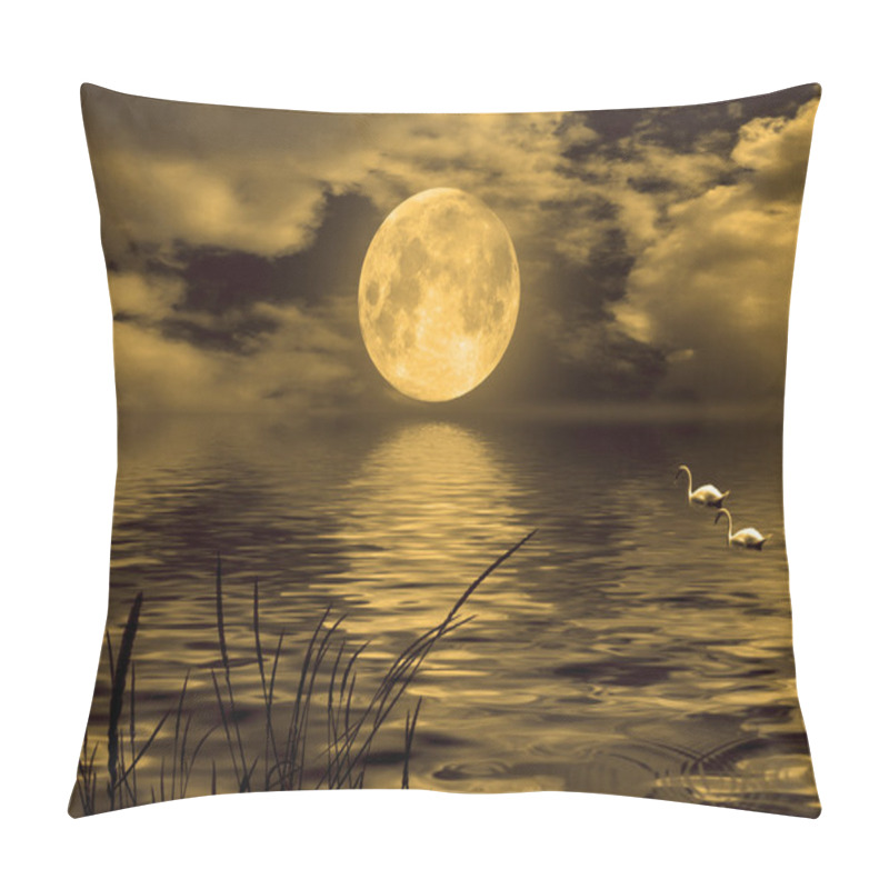 Personality  Swans Floating In The Lake Pillow Covers