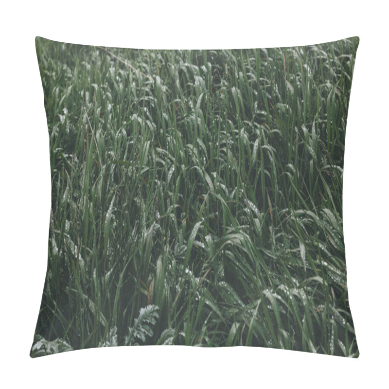 Personality  Grass Pillow Covers