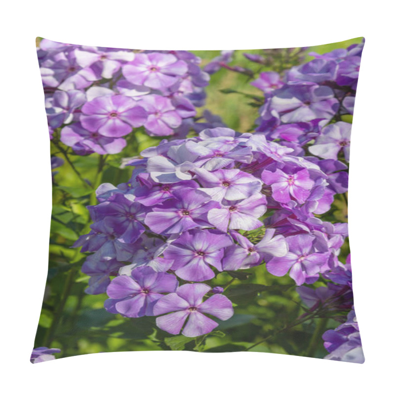 Personality  The Flowers Of Phlox Paniculata Different Varieties Close Up. Flower Background Pillow Covers