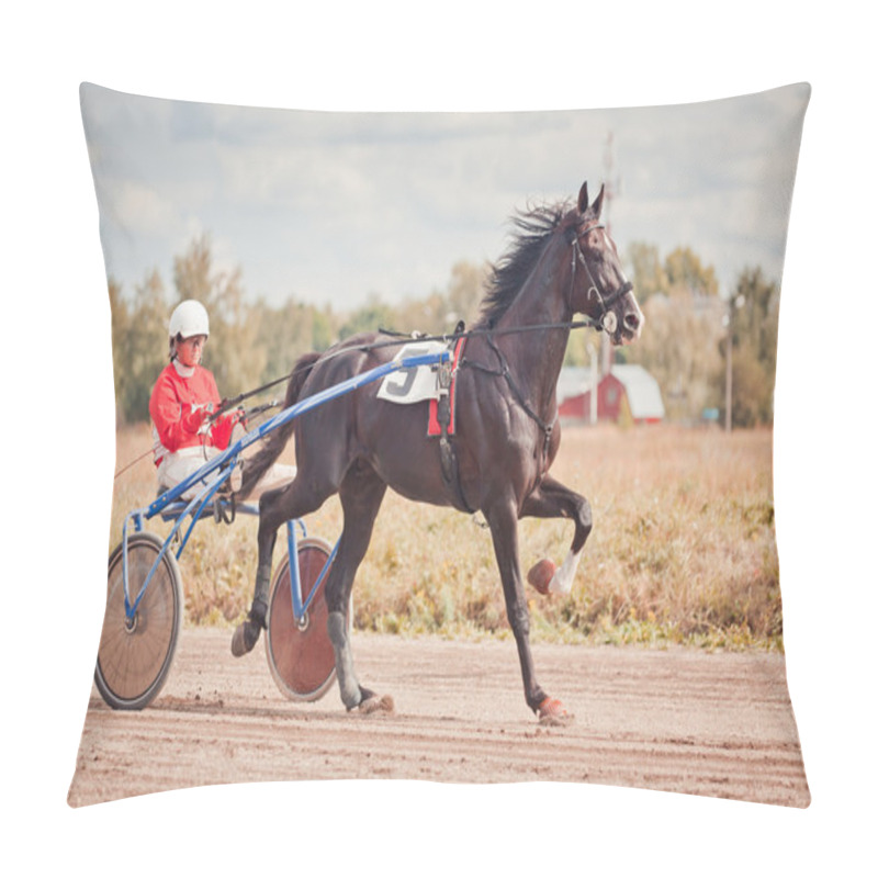 Personality  Racing For The Horses Trotting Breeds Pillow Covers