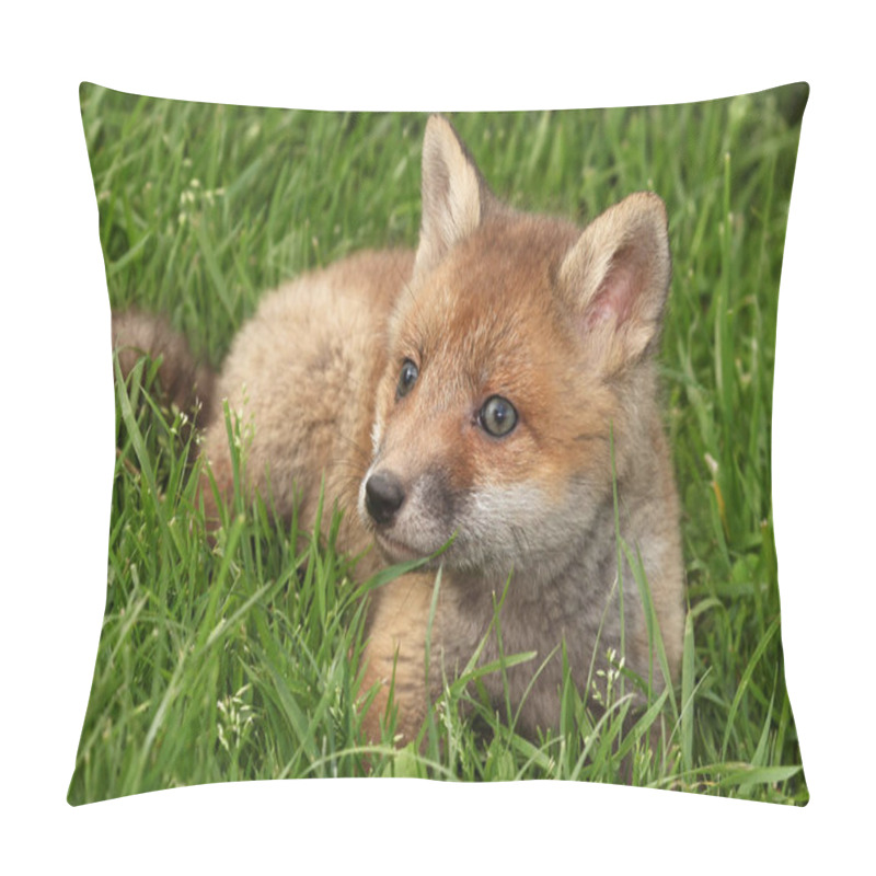 Personality  Little Fox On Grass Pillow Covers